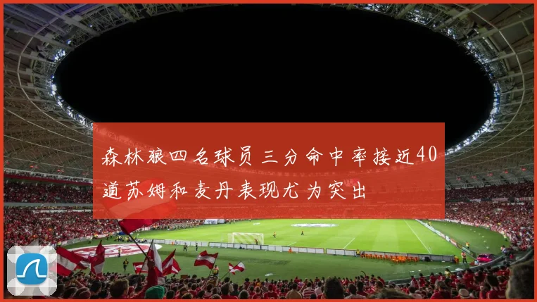 森林狼四名球员三分命中率接近40道苏姆和麦丹表现尤为突出